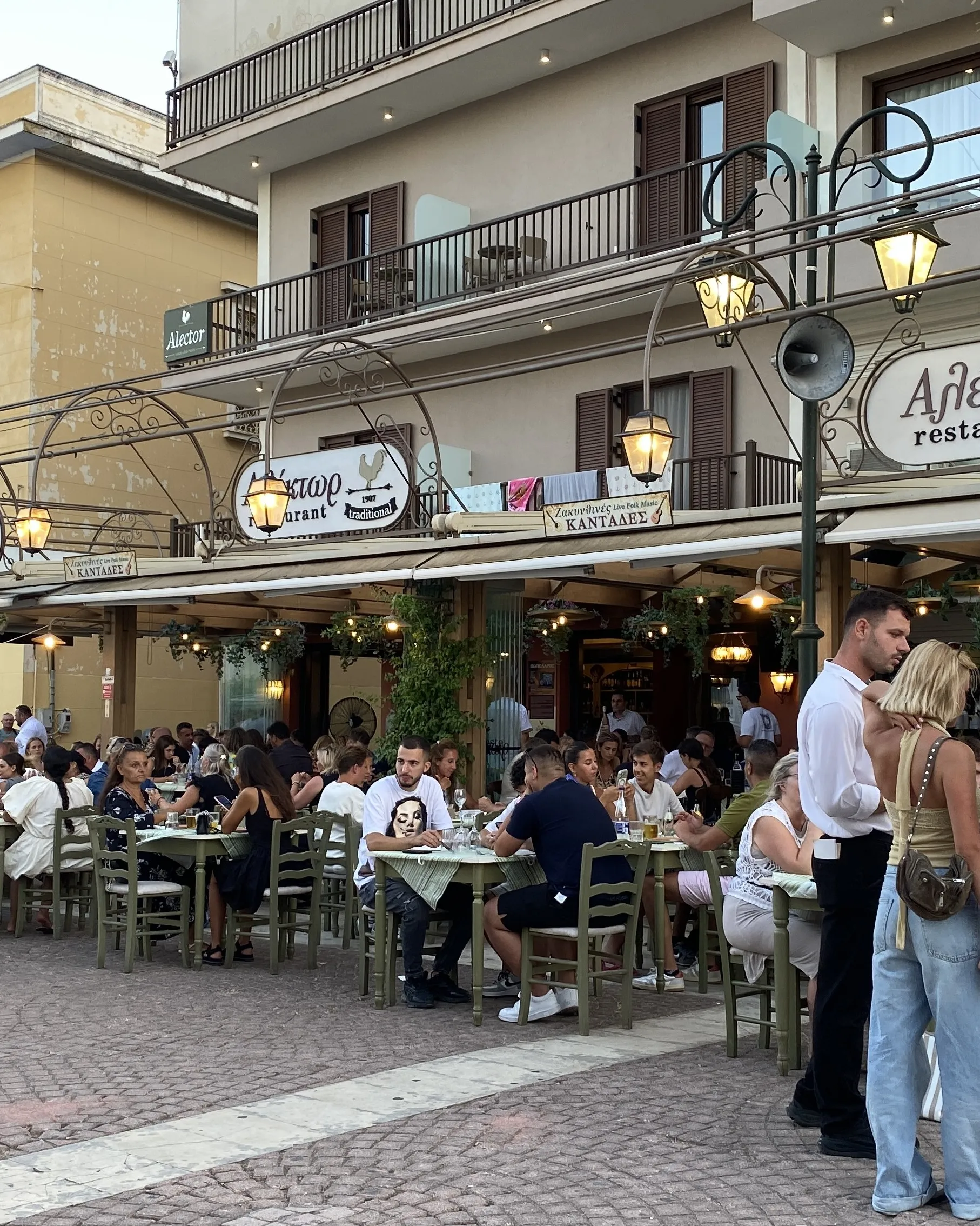 Guests enjoying an evening at Alektor
